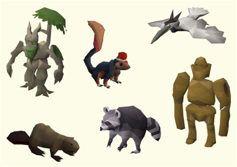 how to store pets in poh osrs.